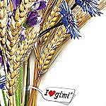 NAVLAKA ZA DASKE ZA GLAČANJE - I LOVE GIMI