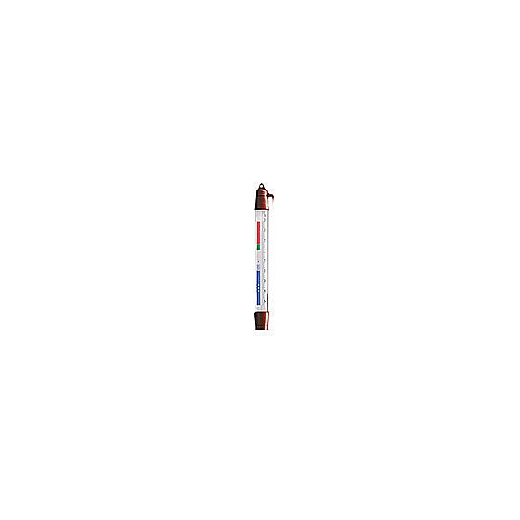 TERMOMETAR ABS