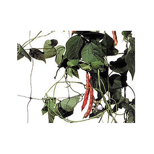 MREŽA ZA PENJAČICE - CLOVER - PVC